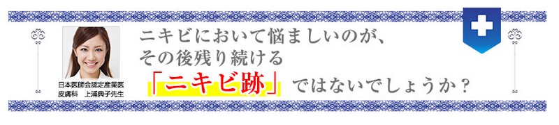 �j�L�r����p�����^�_��ϐ��u���v���X�L���v���T�C�g